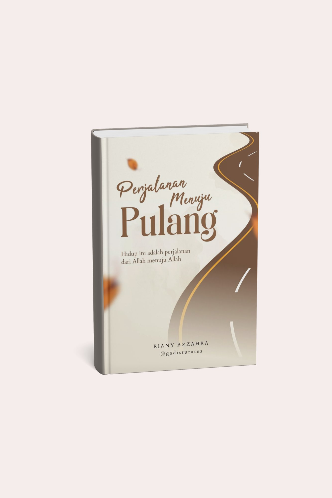 Perjalanan Menuju Pulang